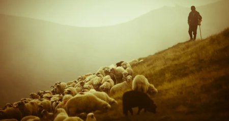 SON DƏQİQƏ: Ermənistana keçən azərbaycanlı çoban geri qaytarıldı &ndash; VİDEO