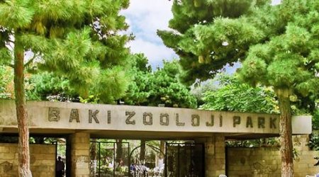 Bakı Zooparkı açılır, açılmır?