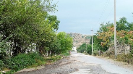 Zəngilanda suriyalı ermənilərin sənədləri ələ keçirildi - Fotofakt