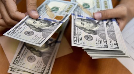 Dollar sabit qaldı, avronun məzənnəsi artdı