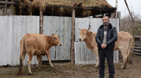 Şəhid ailələri və qazilər üçün kiçik təsərrüfatlar yaradılır
