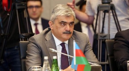 \'\'Pandemiyanın yarada biləcəyi böhranın qarşısı alınıb\'\' - Maliyyə naziri