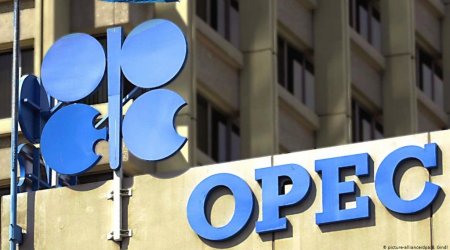 OPEC Prezidentin ad gününü təbrik etdi