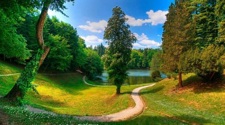 Bu futbolçu özünə 3 milyon avroluq meşə aldı