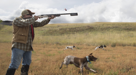Düzənlikdə ov edənlər saxlanıldı