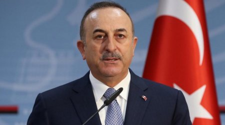 Çavuşoğlu Pakistan prezidenti ilə görüşdü - FOTO