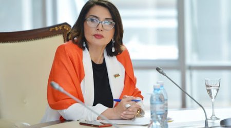 Jalə Əliyeva inkar etdi: “O fikri mən səsləndirməmişəm”
