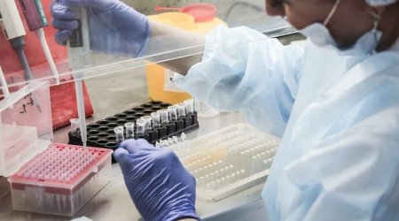 Bu ölkədə 283 nəfərdə “Britaniya” ştammı tapıldı