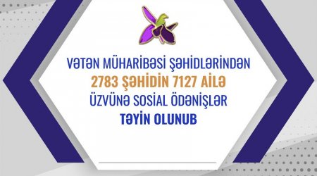 2 783 şəhidin ailə üzvünə sosial ödənişlər təyin olundu