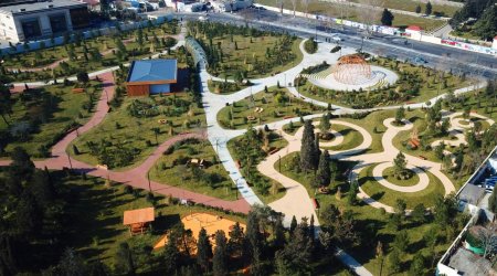 Prezident Yasamalda meşə tipli parkın açılışında oldu - FOTO