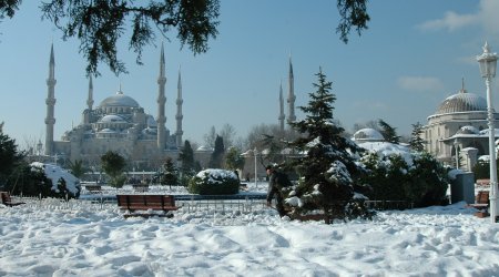 İstanbulda qarın fəsadları: 218 ağac kökündən çıxdı, 7 binanın damı çökdü...