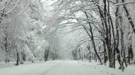 Qaxda 47 sm qar, Bakıda 5 dərəcə şaxta - Faktiki hava