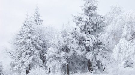 Bu rayonlara qar yağmağa davam edir