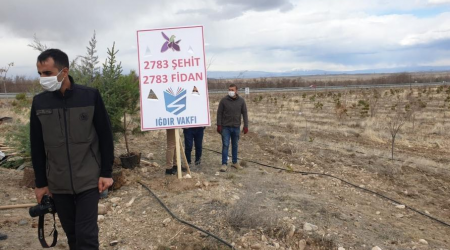 Türkiyədə şəhidlərimizin xatirəsi bu cür əbədiləşdirildi - FOTO