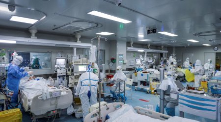 Azərbaycanda daha 1151 nəfər koronavirusa yoluxdu - 29 nəfər öldü