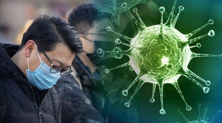 Koronavirus daha çox kişilərin qəniminə çevrilib – ELMİ İZAHI 