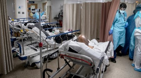 Melita Vujnoviç: “Koronavirusla bağlı vəziyyət həyəcan vericidir”