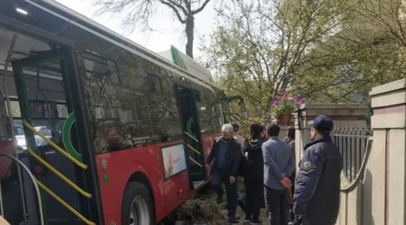 “BakuBus” ağaca çırpıldı - Sürücünün halı pisləşdi - FOTO