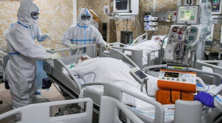 Türkiyədə son sutkada 343 nəfər həyatını itirdi