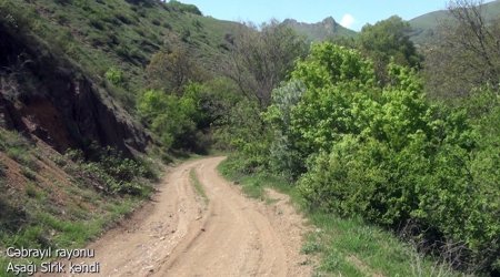 Cəbrayılın Aşağı Sirik kəndindən görüntülər - VİDEO