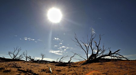 Dünyanın orta illik temperaturu ən azı 3-4 dərəcə selsi yüksələ bilər