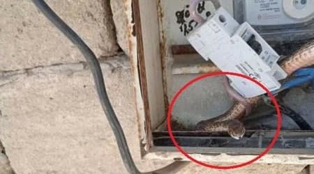 İlanların sayı artıb? – Bakıda işıq sayğacının içindən... - FOTO