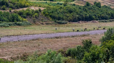 Ermənistan Ombudsmanından Azərbaycana NÖVBƏTİ İFTİRA