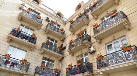Bakıda yaşayış binalarının balkonları güllərlə bəzədilir - FOTO/VİDEO
