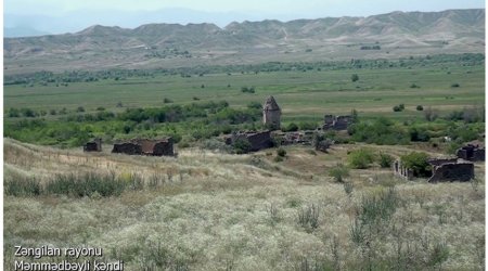 Zəngilanın Məmmədbəyli kəndi - VİDEO