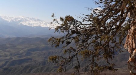 Erməniləri qorxuya salan “Azərbaycana xoş gəlmisiniz!” mesajı - FOTO