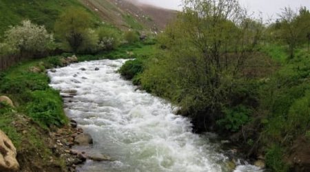 YAP Gənclər Birliyi Oxçuçayın çirkləndirilməsi ilə bağlı bəyanat yaydı