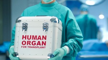 Azərbaycanda orqan transplantasiyası ilə bağlı yeni sənəd təsdiqləndi