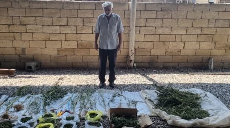 Saatlıda tutulan şəxs cinayətini etiraf etdi - FOTO