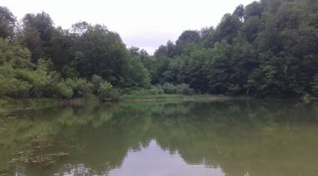 Xaçmazda bədbəxt hadisə - Göldə çimən gənc batdı