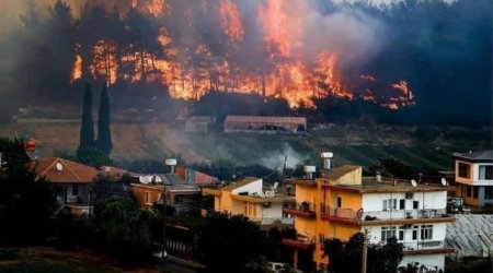 Türkiyədə meşə yanğınlarına görə 5 nəfər saxlanıldı