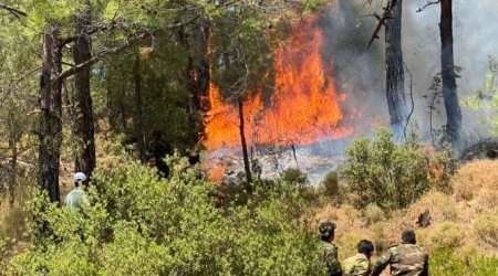 Azərbaycanlıların yanğınla mübarizəsi - Türkiyədən son VİDEO