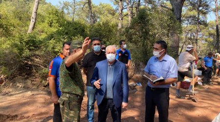 FHN-in əməkdaşları yanğınla mübarizəni davam etdirir - FOTO/VİDEO