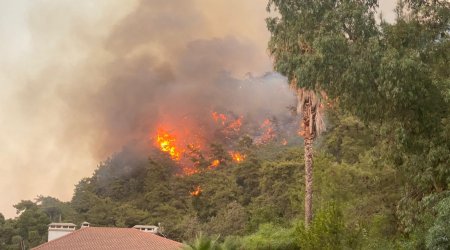 Türkiyədə olan FHN-in qüvvələri yanğınlarla mübarizəni davam etdirir - VİDEO