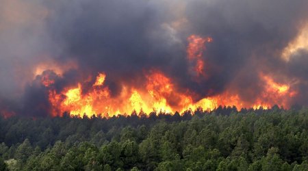 Türkiyədə hava limanına yaxın meşədə yanğın - sərnişinlər qorxulu anlar yaşayır - FOTO