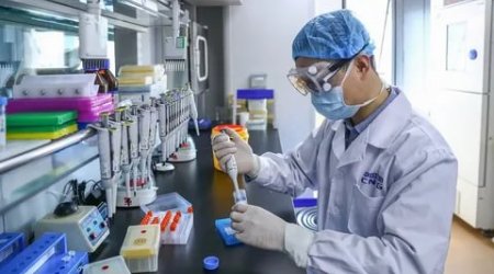 “Yota” ştammı ölüm hallarını iki dəfə artıra bilər - AÇIQLAMA 