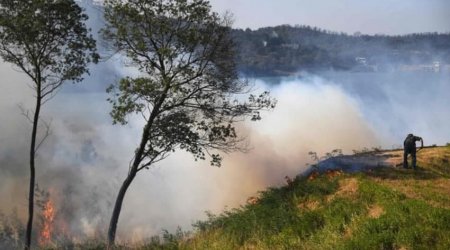 İstanbulda meşə yanğını başladı