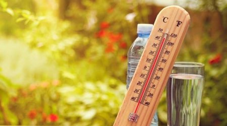 “Orta aylıq temperatur normadan 5 dərəcə yüksəkdir” - Umayra Tağıyeva  