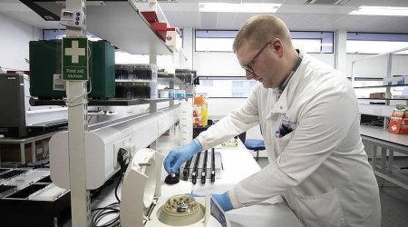 Alimlər koronavirusa qarşı ən təsirli ANTİKOR əldə etdi