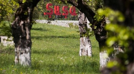 Şuşanın yaşıllıq və nəqliyyat sxemi HAZIRLANDI - FOTO