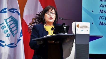 Sahibə Qafarova: “Təəssüf ki, Ermənistan tərəfindən…” - FOTO