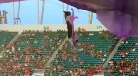 Tribunadan yıxılan pişik belə xilas edildi – VİDEO