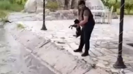 İti su kanalına atan şəxs SAXLANILDI 
