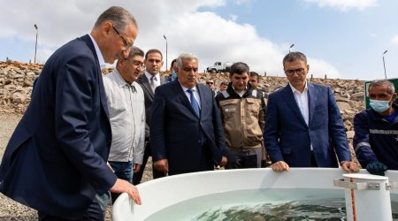 Güney-Zağalı su anbarı ətrafında ekoloji aksiya keçirildi - FOTO