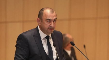 Ermənilər Zəngilanda qədim Şərq çinarlarını kəsib – Nazir müavini