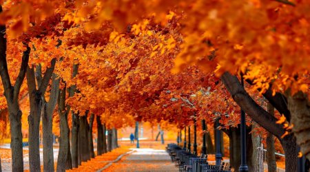 Azərbaycanda payız fəsli BAŞLADI